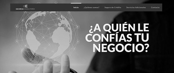 Costo del Desarrollo WEB