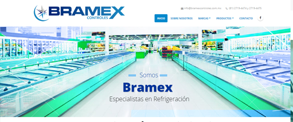 Pagina web a medida en monterrey