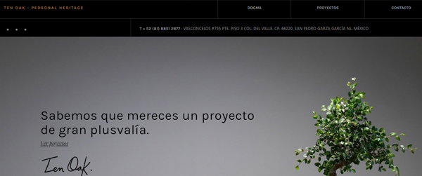 PAgina WEB Monterrey